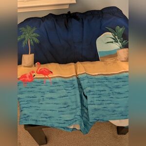 Old Navy Tropical Flamingo Swim Shorts